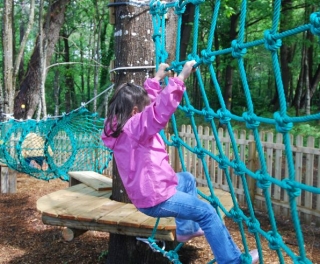  entre plataformas y filest 